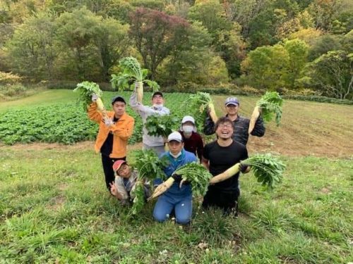 画像3野菜 利用者たちと大根を収穫する(前列右が鈴木さん)