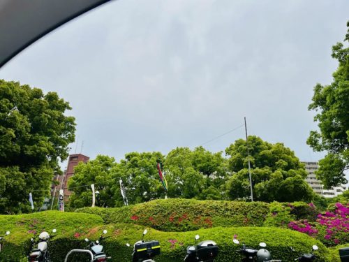 画像１：父の通院する病院で見たこいのぼり