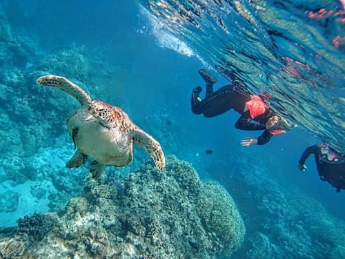 勇太さんの大好きな沖縄の海（直子さん撮影）