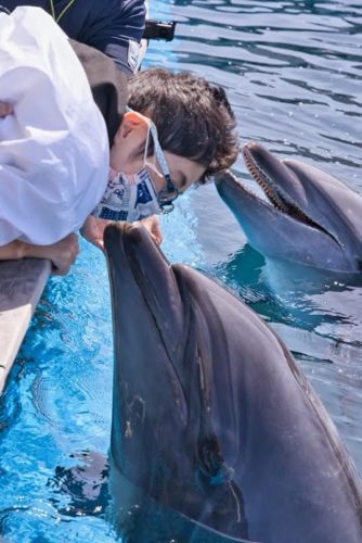 画像3 イルカとの対面も、岡安さんがやりたかったことの一つ