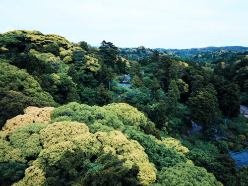 (画像2:南房総で1300年の歴史を持つ真野寺の全景。花の寺としても知られる)