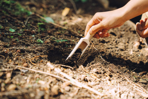 (画像4:埋葬しているところ(イメージ)。土壌学の専門家監修のもと、土に還る埋葬法を採用)