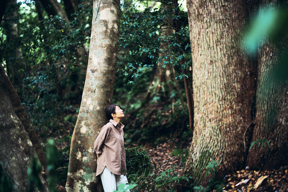 （画像１アイキャッチ兼用：森林浴の森として、人が心地よく過ごせる場所となっている＝真野寺）